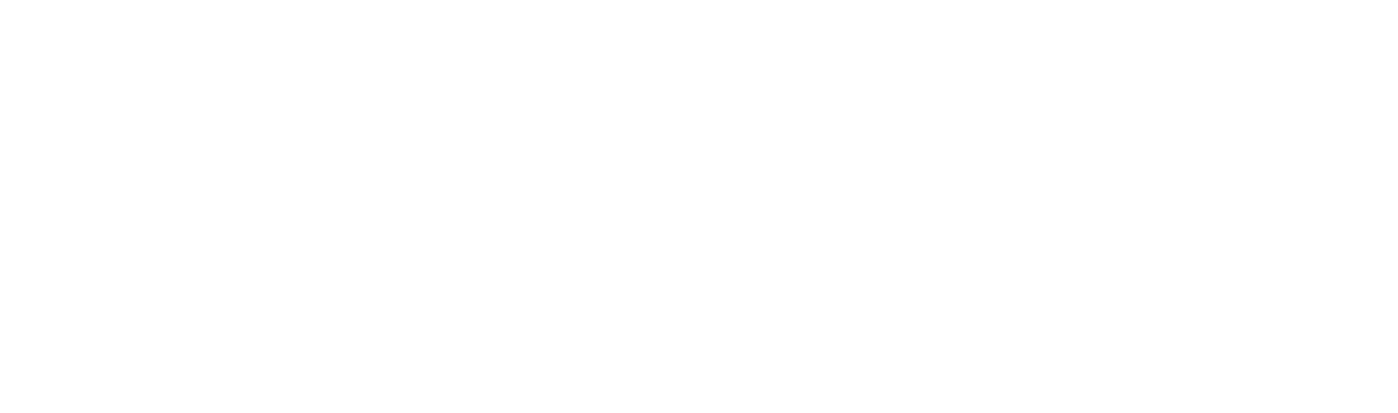 Orca Home Loans logo